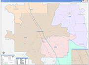 Turner County Wall Map Color Cast Style