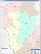 Twiggs County Wall Map Color Cast Style