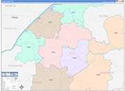 Tyler County Wall Map Color Cast Style