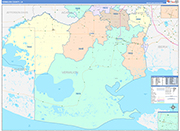Vermilion County Wall Map Color Cast Style
