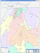 Walker County Wall Map Color Cast Style