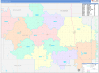 Walsh County Wall Map Color Cast Style