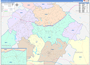 Walton County Wall Map Color Cast Style