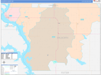 Walworth County Wall Map Color Cast Style