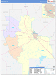 Ware County Wall Map Color Cast Style