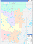 Washburn County Wall Map Color Cast Style