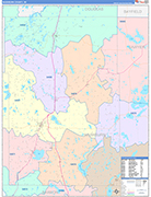 Washburn County Wall Map Color Cast Style