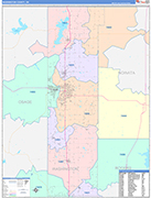 Washington County Wall Map Color Cast Style