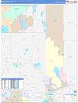 Washoe County Wall Map Color Cast Style