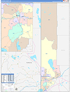 Washoe County Wall Map Color Cast Style