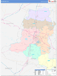 Wayne County Wall Map Color Cast Style
