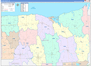 Wayne Wall Map Color Cast Style