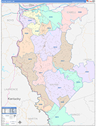 Wayne County Wall Map Color Cast Style