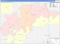 Webster County Wall Map Color Cast Style