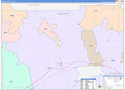Webster County Wall Map Color Cast Style