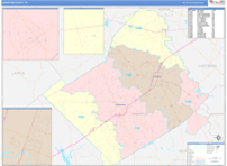 Wharton County Wall Map Color Cast Style