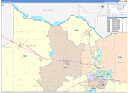Wichita County Wall Map Color Cast Style