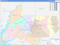 Wicomico County Wall Map Color Cast Style