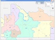 Wilcox County Wall Map Color Cast Style