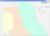 Wilcox County Wall Map Color Cast Style