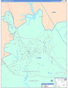 Williamsburg County Wall Map Color Cast Style