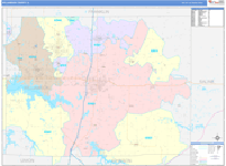 Williamson County Wall Map Color Cast Style