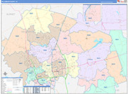 Williamson County Wall Map Color Cast Style