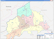Wise County Wall Map Color Cast Style