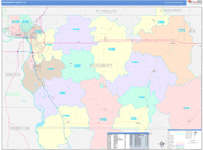 Woodbury County Wall Map Color Cast Style