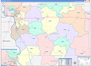 Woodbury County Wall Map Color Cast Style