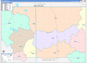 Worth County Wall Map Color Cast Style