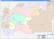 Albany Metro Area Wall Map Color Cast Style