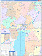 Appleton Metro Area Wall Map Color Cast Style