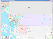 Bellingham Metro Area Wall Map Color Cast Style