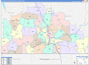 Binghamton Metro Area Wall Map Color Cast Style