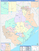 Brazoria Metro Area Wall Map Color Cast Style