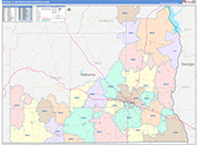 Dothan Metro Area Wall Map Color Cast Style