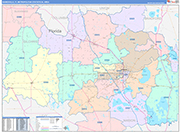 Gainesville Metro Area Wall Map Color Cast Style