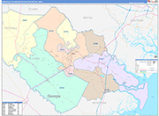 Hinesville Metro Area Wall Map Color Cast Style
