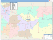 Kankakee Metro Area Wall Map Color Cast Style