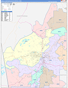 Rome Metro Area Wall Map Color Cast Style