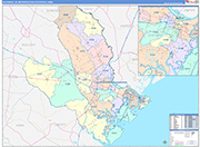 Savannah Metro Area Wall Map Color Cast Style