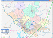 Trenton Metro Area Wall Map Color Cast Style