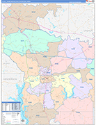 Tyler Metro Area Wall Map Color Cast Style