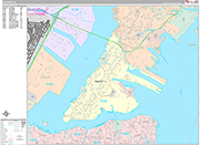 Bayonne Wall Map Premium Style