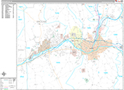 Binghamton  Wall Map Premium Style