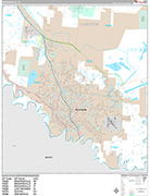 Brownsville  Wall Map Premium Style