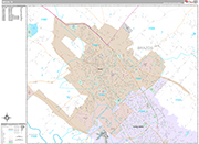 Bryan  Wall Map Premium Style