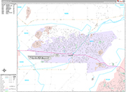 Camarillo  Wall Map Premium Style