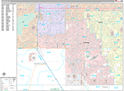 Chandler Wall Map Premium Style